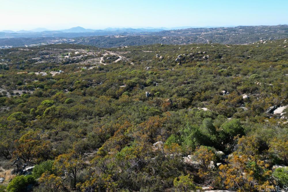 MLS #PTP2507282 image #46