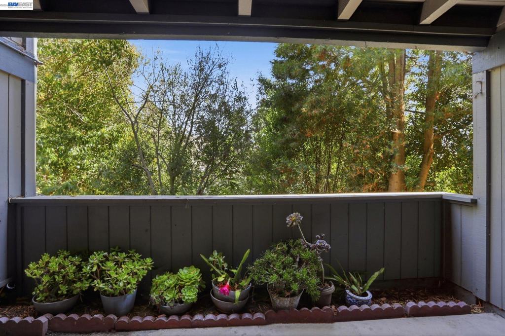 https://media.crmls.org/mediaz/e25a19d1-6405-4da6-a645-8c702ad56421.jpg?preset=X-Large