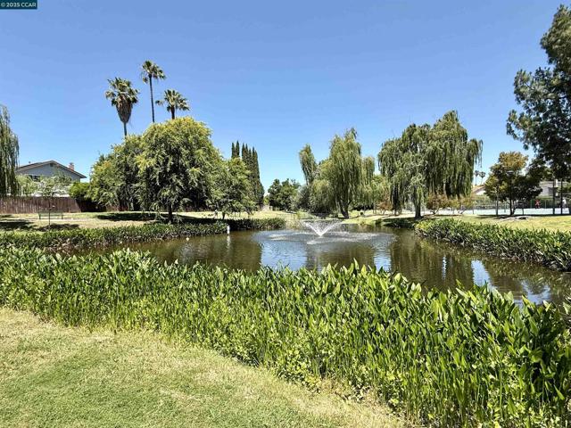 4513 Birch Bark Rd, Concord CA: https://media.crmls.org/mediaz/e25ade62-b8b1-441a-96ba-dca7d113e78c.jpg