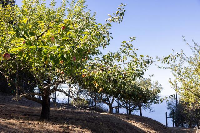 47320 Highway 1, Big Sur CA: https://media.crmls.org/mediaz/e2628b10-daba-44b0-98c6-48802b53ae85.jpg