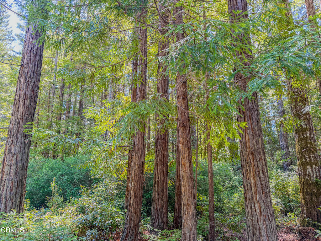 https://media.crmls.org/mediaz/e269439f-8fec-4359-b32e-2e146ac684c5.jpg?preset=X-Large