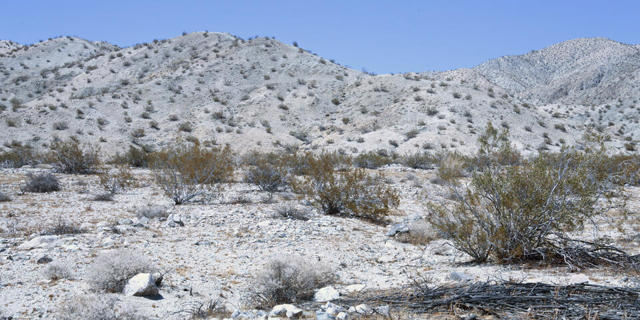 1 Camino Zangiri, Desert Hot Springs CA: https://media.crmls.org/mediaz/e269d76e-daf6-4811-9ae2-98e29c5a886b.jpg
