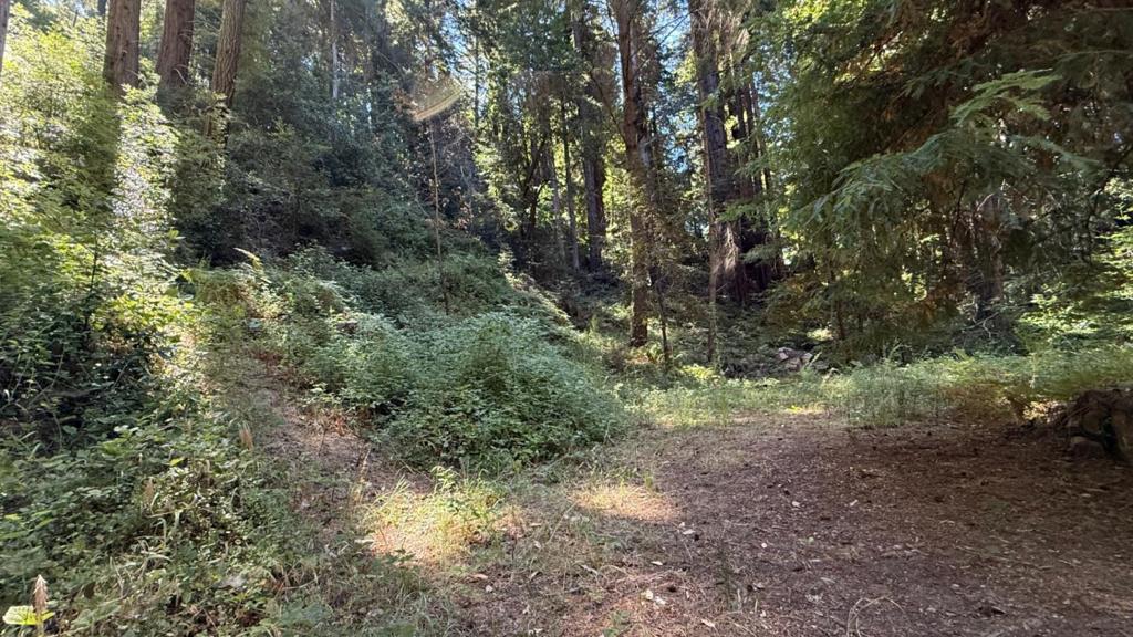 MLS #ML82019043 image #6