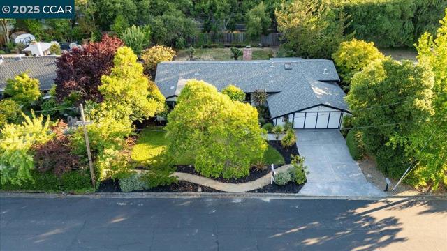 42 Freitas Dr, Moraga CA: https://media.crmls.org/mediaz/e27444f0-af43-4136-81c8-4a4eba2049ac.jpg