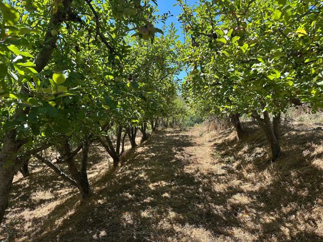 0 Sans Road, Corralitos CA: https://media.crmls.org/mediaz/e27af4d6-b799-433b-9b0d-d690360a5b50.jpg