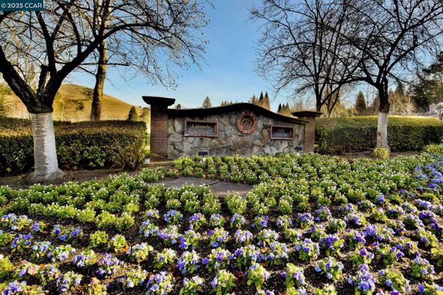 715 Blue Spruce Dr, Danville CA: https://media.crmls.org/mediaz/e2811f10-5d8a-4ad0-9024-5c7cd93db7f1.jpg