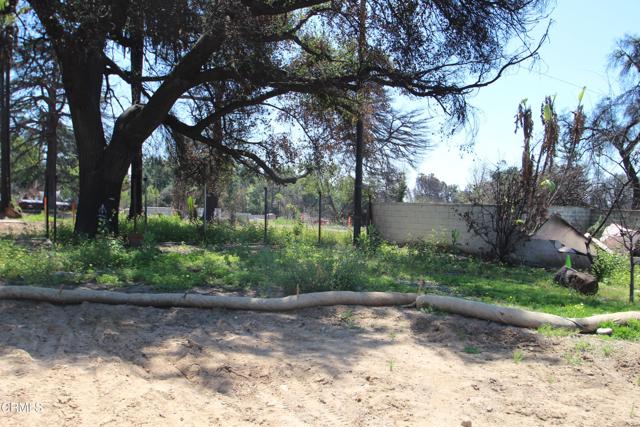 Detail Gallery Image 8 of 18 For 2688 Mcnally Ave, Altadena,  CA 91001 - – Beds | – Baths