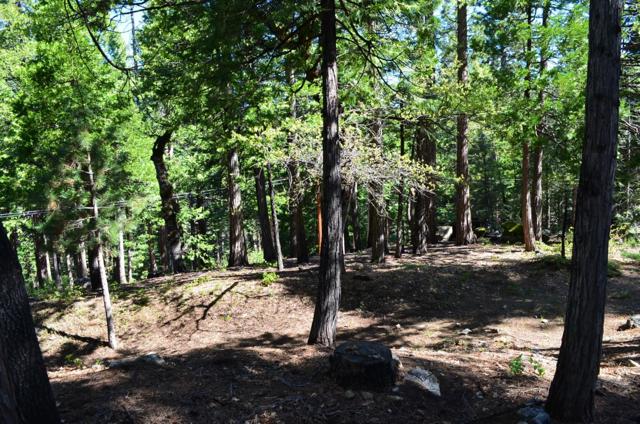 3112 Apache Road, Dorrington CA: https://media.crmls.org/mediaz/e28ad028-d1f5-4148-9ec6-03e4b4e41846.jpg