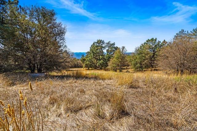 Detail Gallery Image 14 of 40 For 120 Ac Vacant Land Mesa Grande Rd, Santa Ysabel,  CA 92070 - – Beds | – Baths