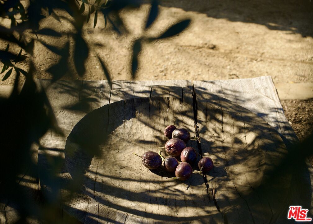 https://media.crmls.org/mediaz/e2929c45-2cea-4cad-870b-d6405010a521.jpg?preset=X-Large