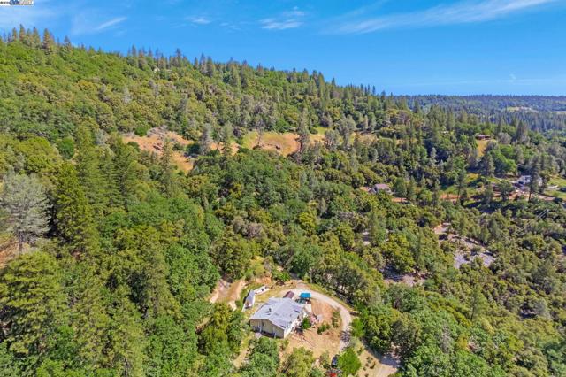 3698 Braden Road, Camino CA: https://media.crmls.org/mediaz/e2930eef-9acb-4b9e-811c-808f3b53a96e.jpg