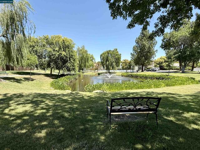4513 Birch Bark Rd, Concord CA: https://media.crmls.org/mediaz/e29a9d3c-f2b9-4167-b84e-d25433daf19a.jpg