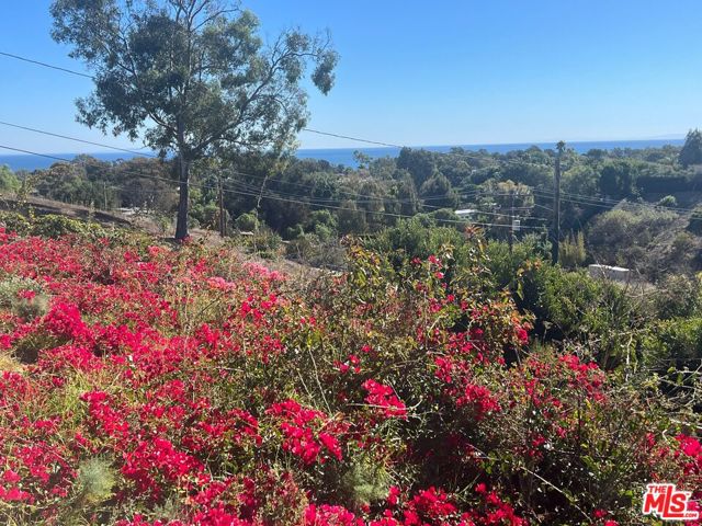 Drew Fenton | 28908 Wight Road Malibu CA | MLS: 6591541