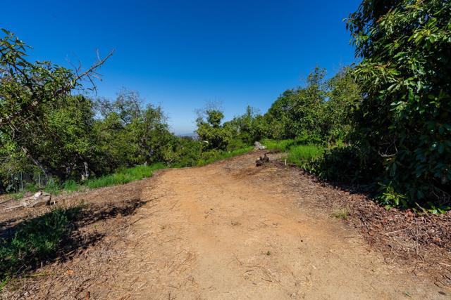 0 Wilt Road, Fallbrook CA: https://media.crmls.org/mediaz/e2a72727-fee8-4609-9cc5-b4798fd9eedd.jpg