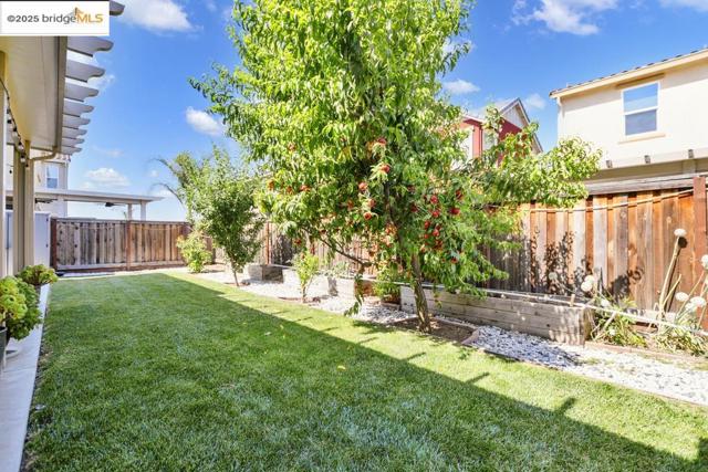 497 Tintori Ct, Brentwood CA: https://media.crmls.org/mediaz/e2ae48db-1f3c-4f10-9146-e78351484bc6.jpg