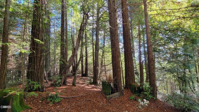 Detail Gallery Image 14 of 15 For 12301 Docker Hill Rd, Comptche,  CA 95427 - – Beds | – Baths