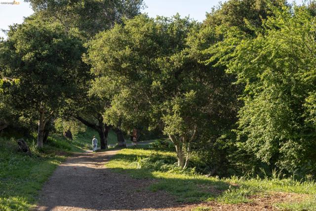 Image 49 of 60 For 260 Grizzly Peak Blvd