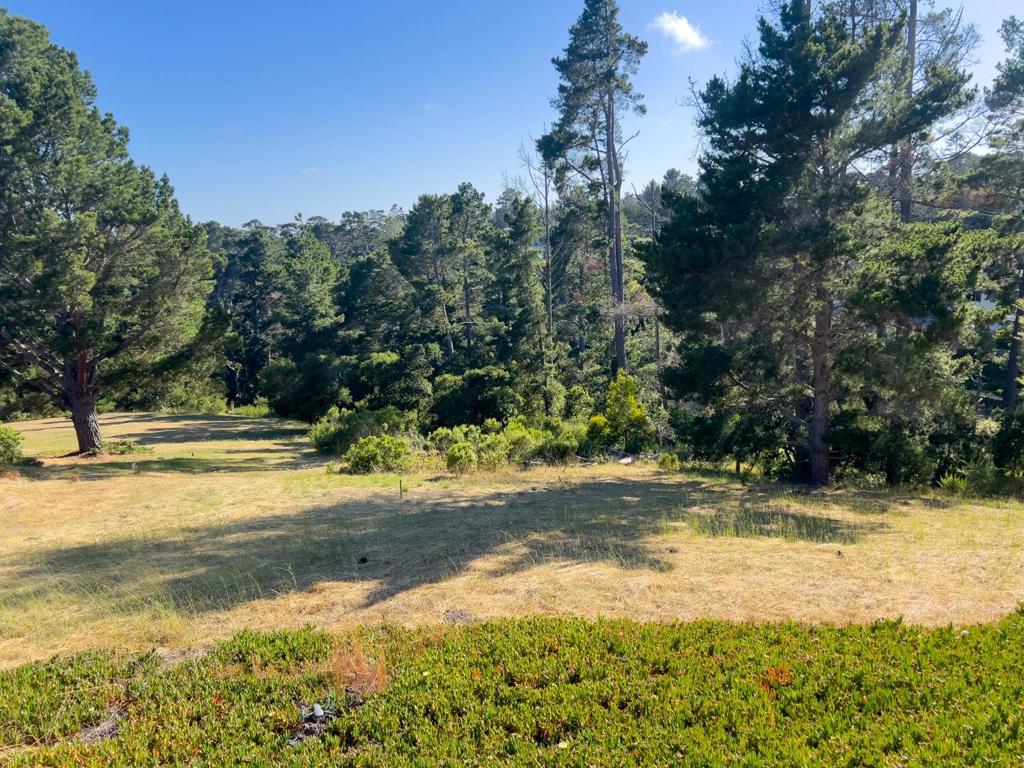 MLS #ML81971263 image #5