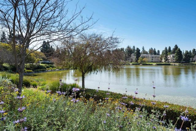 845 RIDGEWATER DR, Chula Vista CA: https://media.crmls.org/mediaz/e2c46343-3ff8-410c-b9e7-2dccc14cd7dc.jpg