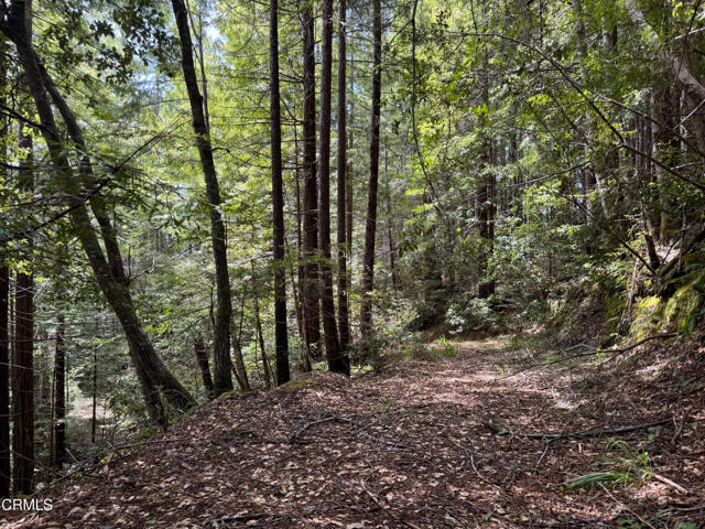 Detail Gallery Image 25 of 41 For 23501 Branscomb Rd, Westport,  CA 95488 - – Beds | – Baths