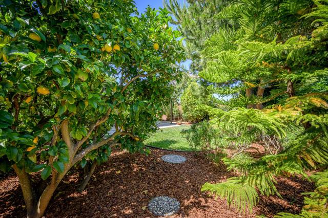 3129 Stelling Drive, Palo Alto CA: https://media.crmls.org/mediaz/e2d52645-fdb2-4722-803c-888f07e40be0.jpg