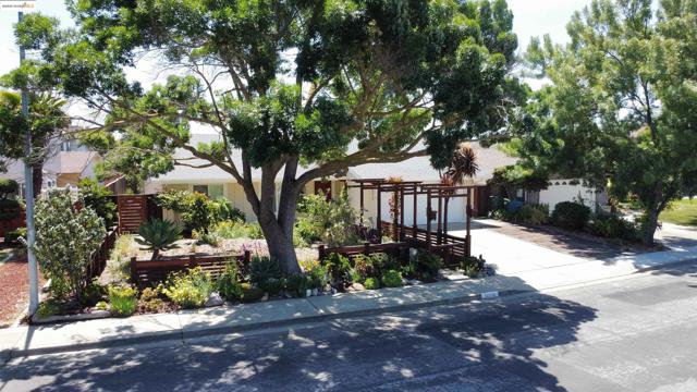 32212 Deborah Dr, Union City CA: https://media.crmls.org/mediaz/e2e0e42e-7308-4233-9ea6-e192b4032bc2.jpg