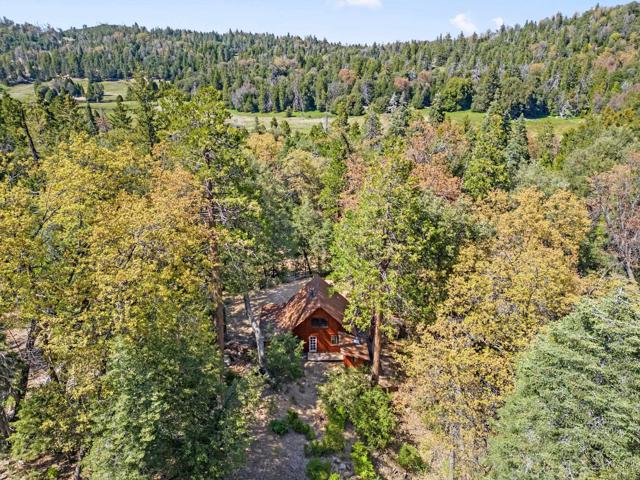 Detail Gallery Image 27 of 30 For 14 +/- Acres Palomar Divide Truck Trl, Palomar Mountain,  CA 92060 - – Beds | – Baths