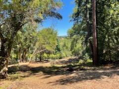 12 Montecito Road, Woodside CA: https://media.crmls.org/mediaz/e2ea7fa4-f35c-4f07-9fbd-ed6b8d853b3d.jpg