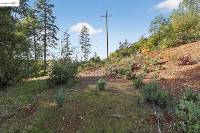 Image 1 of 10 For 4544 Sheep Ranch Rd