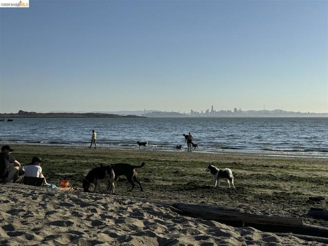 Image 27 of 41 For 848 Stannage Ave 11