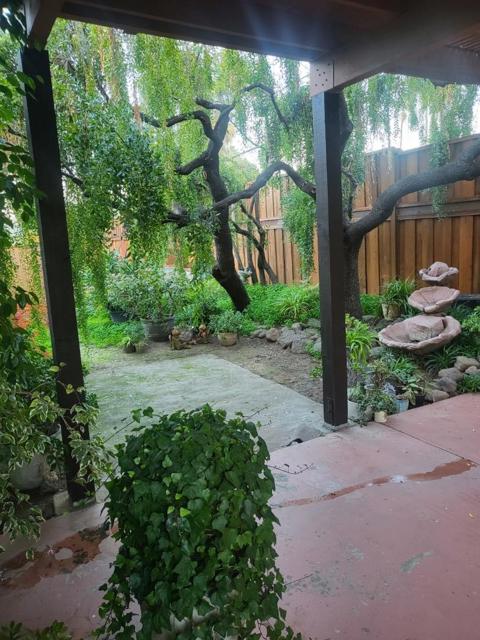 908 Marilyn Drive, Campbell CA: https://media.crmls.org/mediaz/e2fa1465-d6ea-4ed7-a9de-7d52f2dcd5a1.jpg