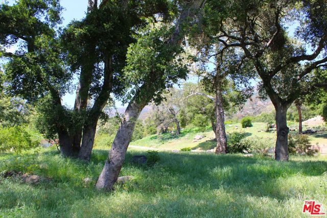 809 Ashley Road, Santa Barbara CA: https://media.crmls.org/mediaz/e300a43f-c23b-495f-ae06-2f39bb05fd0c.jpg