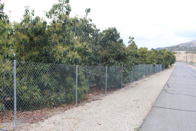 Detail Gallery Image 4 of 33 For 0 Camulos St, Piru,  CA 93040 - – Beds | – Baths