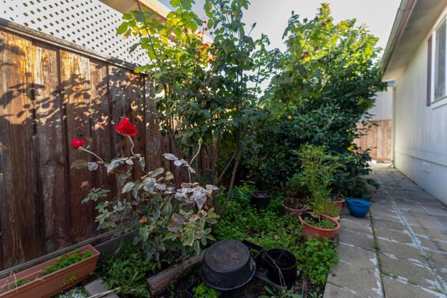 3637 Snell Avenue, San Jose CA: https://media.crmls.org/mediaz/e307e089-e0bb-4cd3-a623-9072fb8b50f1.jpg