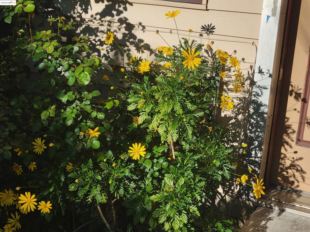 https://media.crmls.org/mediaz/e31f493c-6320-448f-9608-7f47f6a5975e.jpg?preset=X-Large
