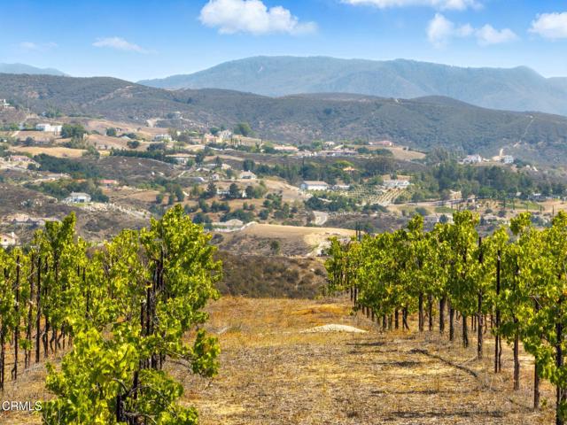 38470 Ave De La Bandolero, Temecula CA: https://media.crmls.org/mediaz/e31f679a-8813-433f-a5bd-59607c874c24.jpg