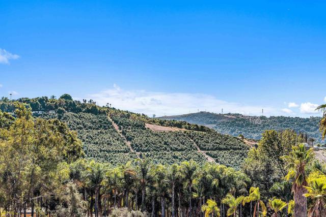 11270 San Luis Rey Dr, Valley Center CA: https://media.crmls.org/mediaz/e31ffea9-95ef-43ae-8e4b-7ddc63548c1f.jpg