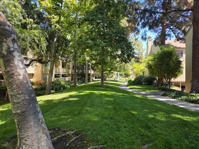 980 Kiely Boulevard, Santa Clara CA: https://media.crmls.org/mediaz/e3261f01-2803-4cb6-82ac-520bd0999888.jpg