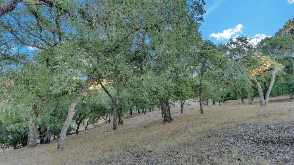 MLS #ML82019099 image #17