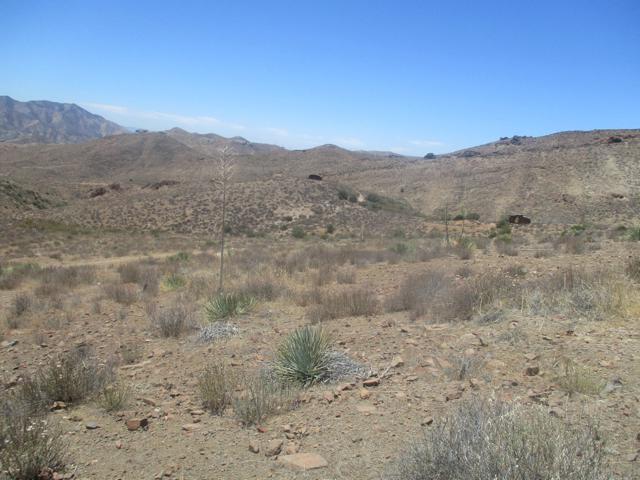 28 Hughes Canyon, Acton CA: https://media.crmls.org/mediaz/e339e940-56c6-4840-928f-c620849b77eb.jpg