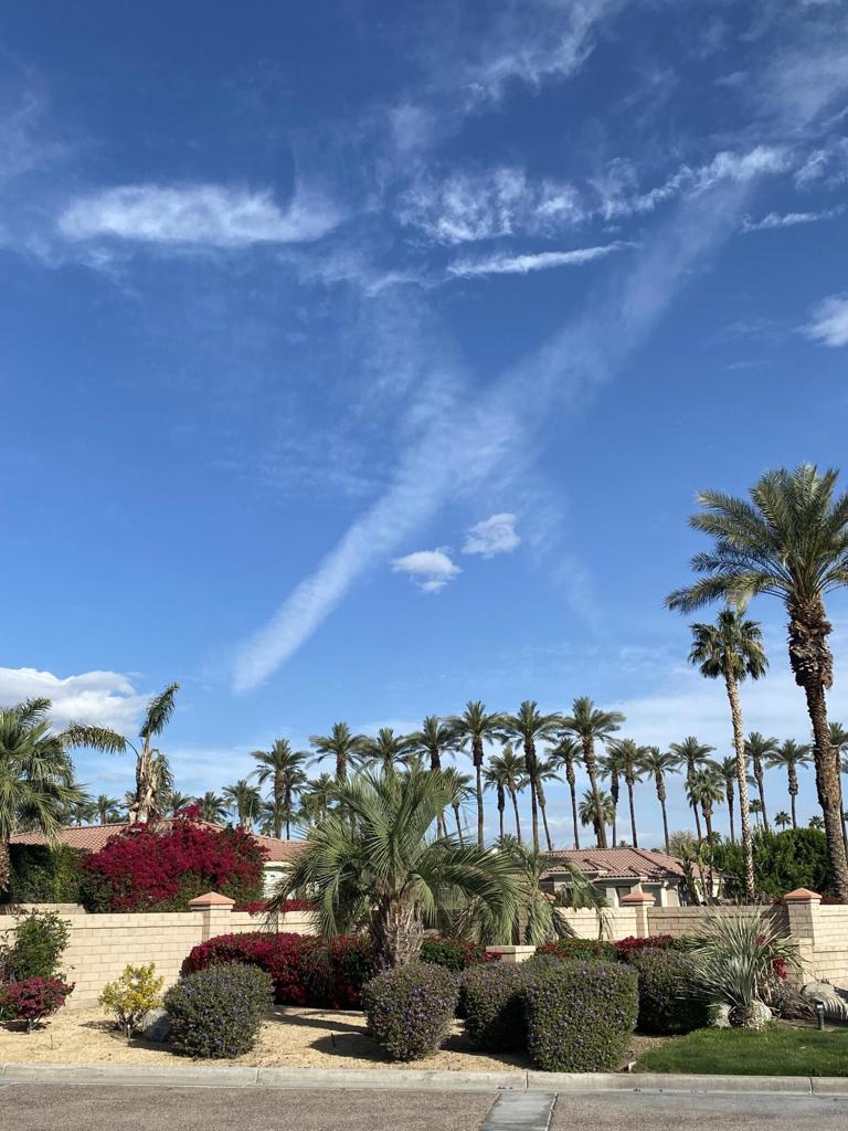 MLS #219138742DA image #32