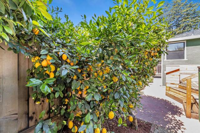 928 Peggy Lane, Menlo Park CA: https://media.crmls.org/mediaz/e349b919-9696-4531-b1b3-90f3afc0f4bb.jpg