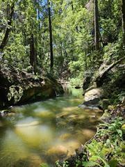 17000 Bear Creek Road, Boulder Creek CA: https://media.crmls.org/mediaz/e35680dd-fbdd-4be4-9d6a-2232424ed4d3.jpg