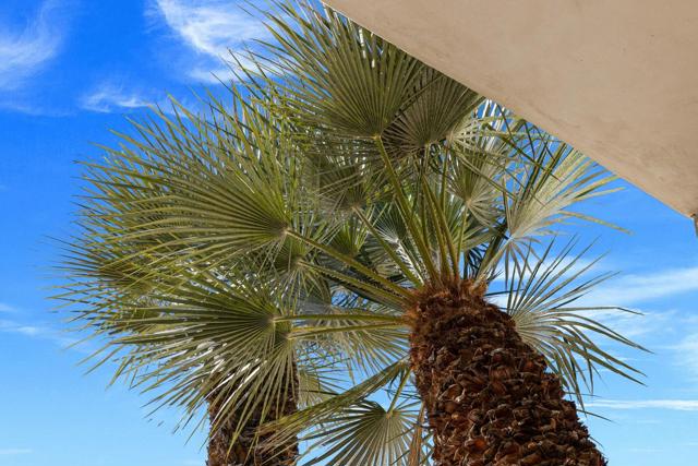 71000 Tamarisk Lane, Rancho Mirage CA: https://media.crmls.org/mediaz/e357b11d-ad95-48f8-ba9e-91e63542b449.jpg