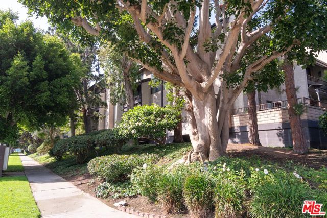 8110 Manitoba Street, Playa del Rey CA: https://media.crmls.org/mediaz/e35c59da-f2f6-4f21-ba3c-e4361e09f6ea.jpg