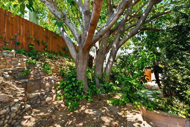 9021 Ronda Ave, San Diego CA: https://media.crmls.org/mediaz/e35c966e-64c8-49e2-84c8-4069d3be53c2.jpg
