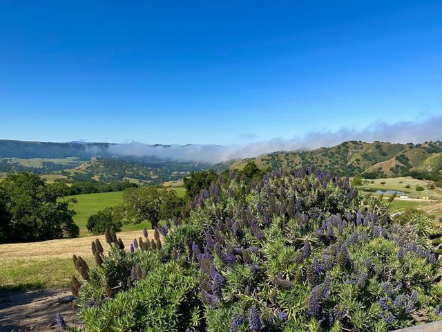 17755 Corral Del Cielo Road,  CA: https://media.crmls.org/mediaz/e36e1b0a-1fd9-47fb-9f4c-2e4c4c3478e3.jpg