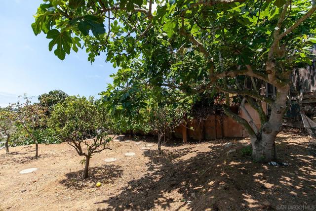 3428 Quimby St, San Diego CA: https://media.crmls.org/mediaz/e3927a94-4f18-4fc6-b8ee-6de0c8ad0a25.jpg