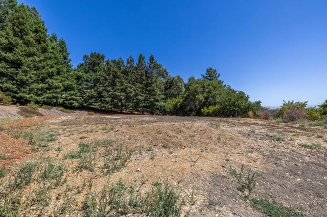 941 High Road, Woodside CA: https://media.crmls.org/mediaz/e392a60d-2147-4060-b5e6-0624320ce27e.jpg