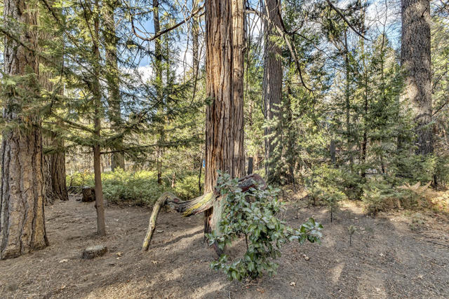 54865 Strong Dr, Idyllwild CA: https://media.crmls.org/mediaz/e3a9d82a-37e0-4f94-8436-af5279554d9d.jpg